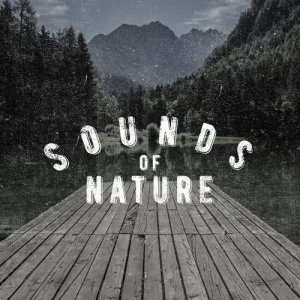 Album Sounds of Nature: Meditation from Mediation Sounds of Nature