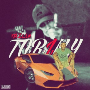 Listen to Viajei pro Sul song with lyrics from Tailer Toriny