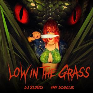 อัลบัม Low In The Grass ศิลปิน Amy Douglas