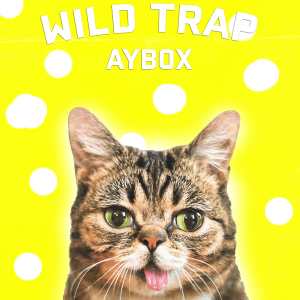 ดาวน์โหลดและฟังเพลง Wild Trap (Explicit) พร้อมเนื้อเพลงจาก Ayb0x