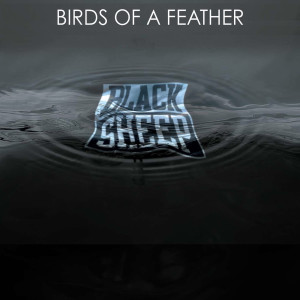 Album Birds Of A Feather (Explicit) from 