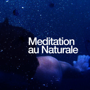收聽Meditation Spa的Birds Overhead歌詞歌曲