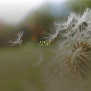 ดาวน์โหลดและฟังเพลง Golden Lariat พร้อมเนื้อเพลงจาก Montana Slim