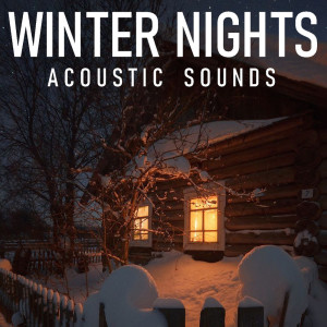 Album Winter Nights Acoustic Sounds from Various