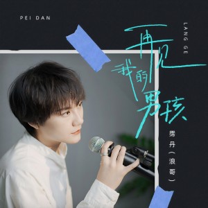 Album 再见我的男孩 from 