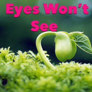 Listen to Visions song with lyrics from Wildlife