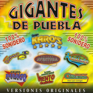 收聽Grupo Paraiso的La Cumba De La Reata歌詞歌曲