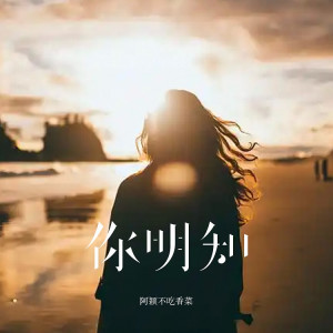 收听阿颖不吃香菜的你明知 (伴奏)歌词歌曲