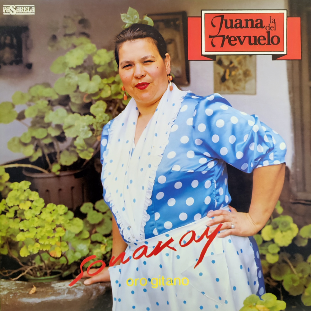 Cantando por Alegrías
