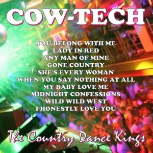 收聽The Country Dance Kings的You Belong With Me歌詞歌曲