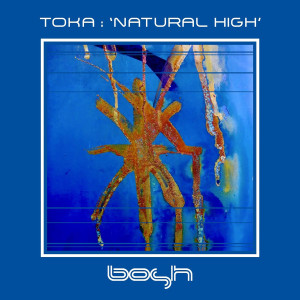 Listen to Tricks song with lyrics from Toka.