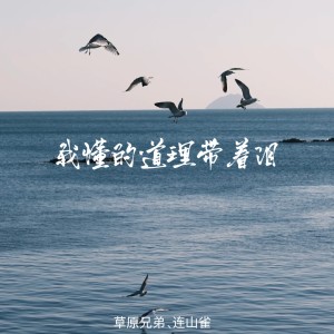 Album 我懂的道理带着泪（合唱版） from 草原兄弟