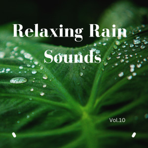 Relaxing Rain Sounds (Vol.10)