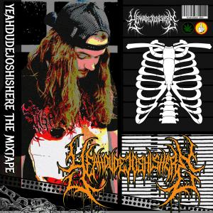 Yeahdudejoshishere的專輯YEAHDUDEJOSHISHERE: THE MIXTAPE (Explicit)