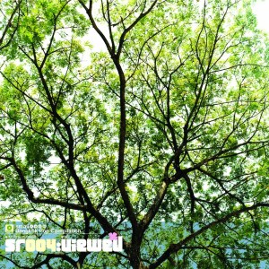 Listen to Idea song with lyrics from Smallroom