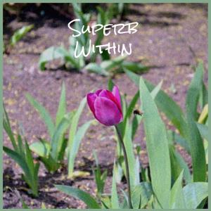 Listen to Superb Within song with lyrics from Karlos Nien