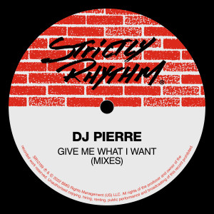 Give Me What I Want (Mixes)