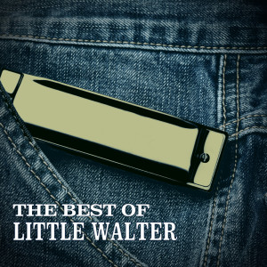 Album The Best of Little Walter from Little Walter