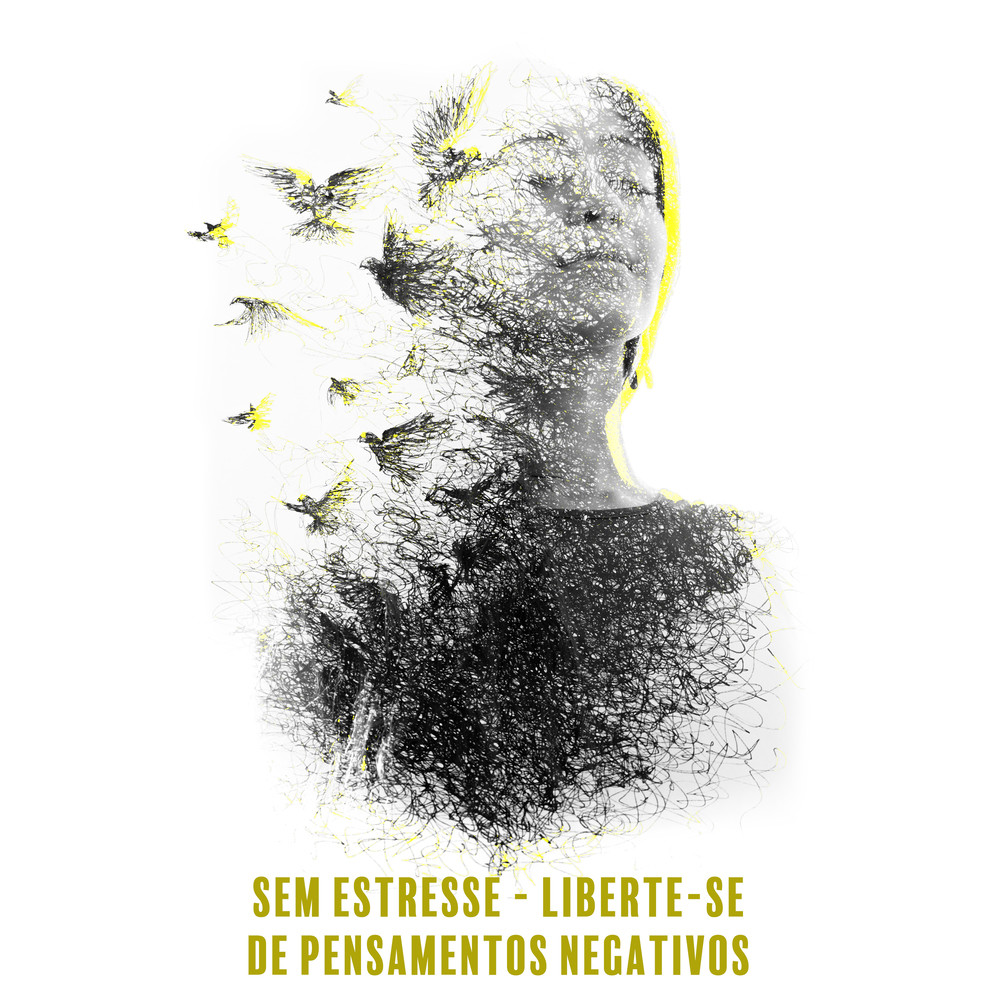 Olhe para os pássaros