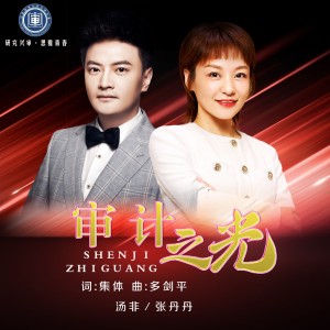 Album 审计之光 from 汤非