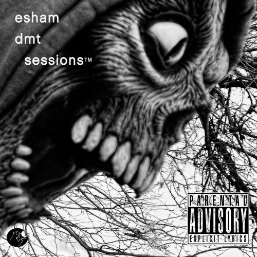 DMT Sessions (feat. Danny Brown) (Explicit)