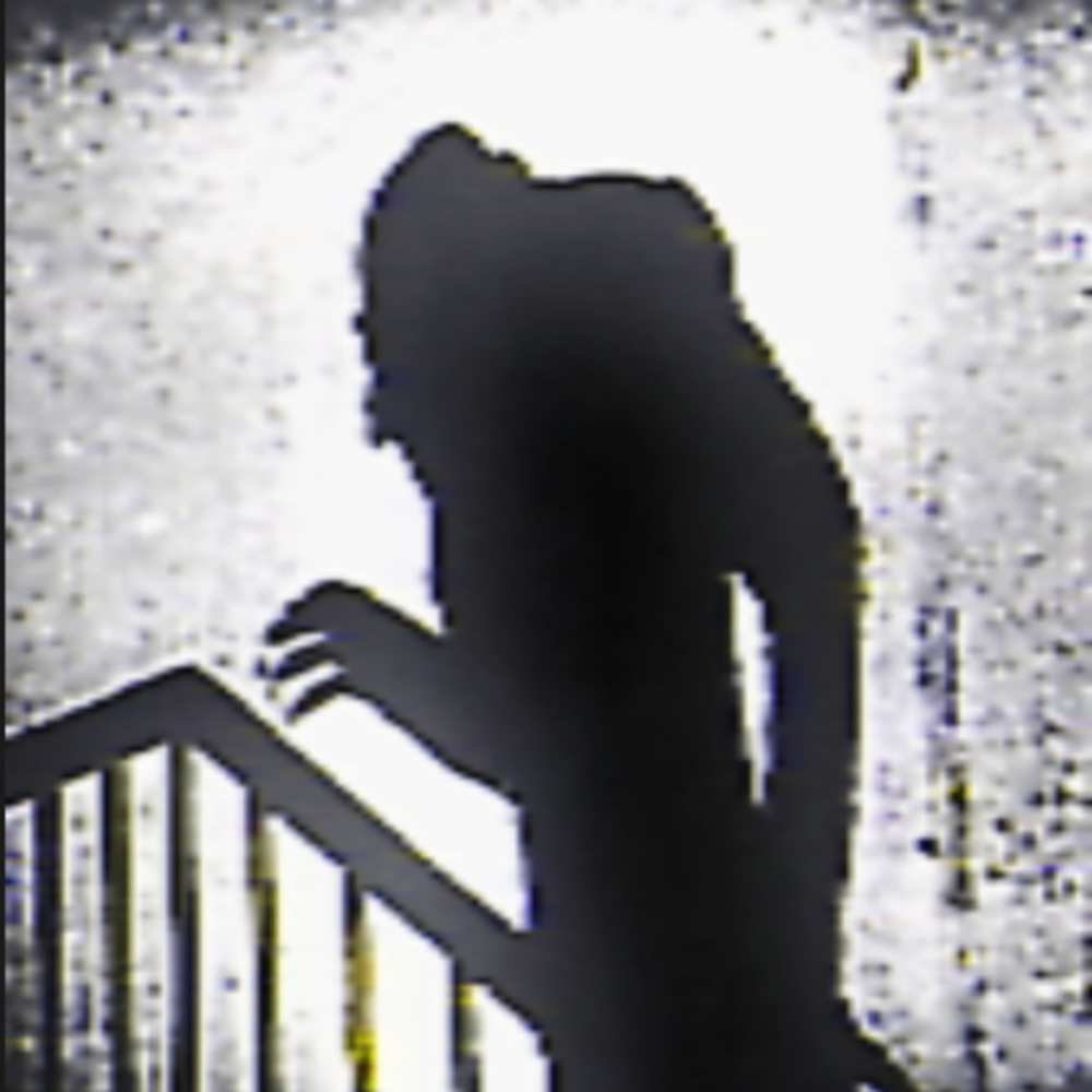 Reflex (Explicit)