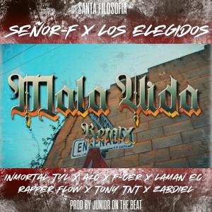收聽Señor F的Mala Vida (feat. Inmortal TYL, Los Elegidos, A2C, F - Cer, Rapper Flow, Zabdiel, Laman EC & Tony TNT) (Remix)歌詞歌曲
