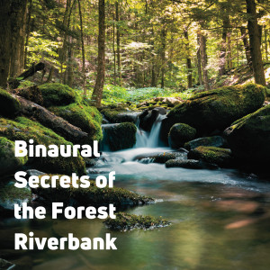 Binaural Secrets of the Forest Riverbank