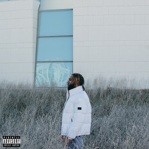 Listen to THICC (Explicit) song with lyrics from EverythingOShauN
