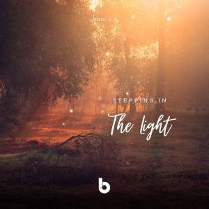 Listen to Stepping in the Light song with lyrics from binse a.d