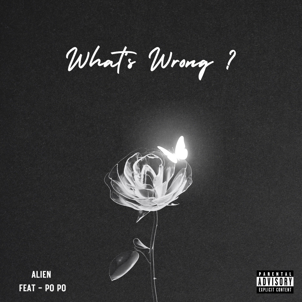 What's Wrong? (Deluxe) (Explicit)