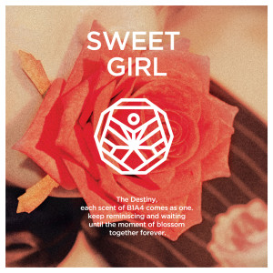 Album Sweet Girl from B1A4