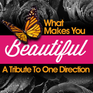 Future Hit Makers的專輯What Makes You Beautiful - A Tribute to One Direction