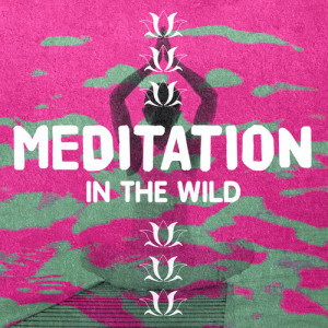 Mediation Sounds of Nature的專輯Meditation in the Wild
