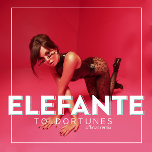 Dengarkan Elefante (ToldorTunes Remix) lagu dari NK dengan lirik
