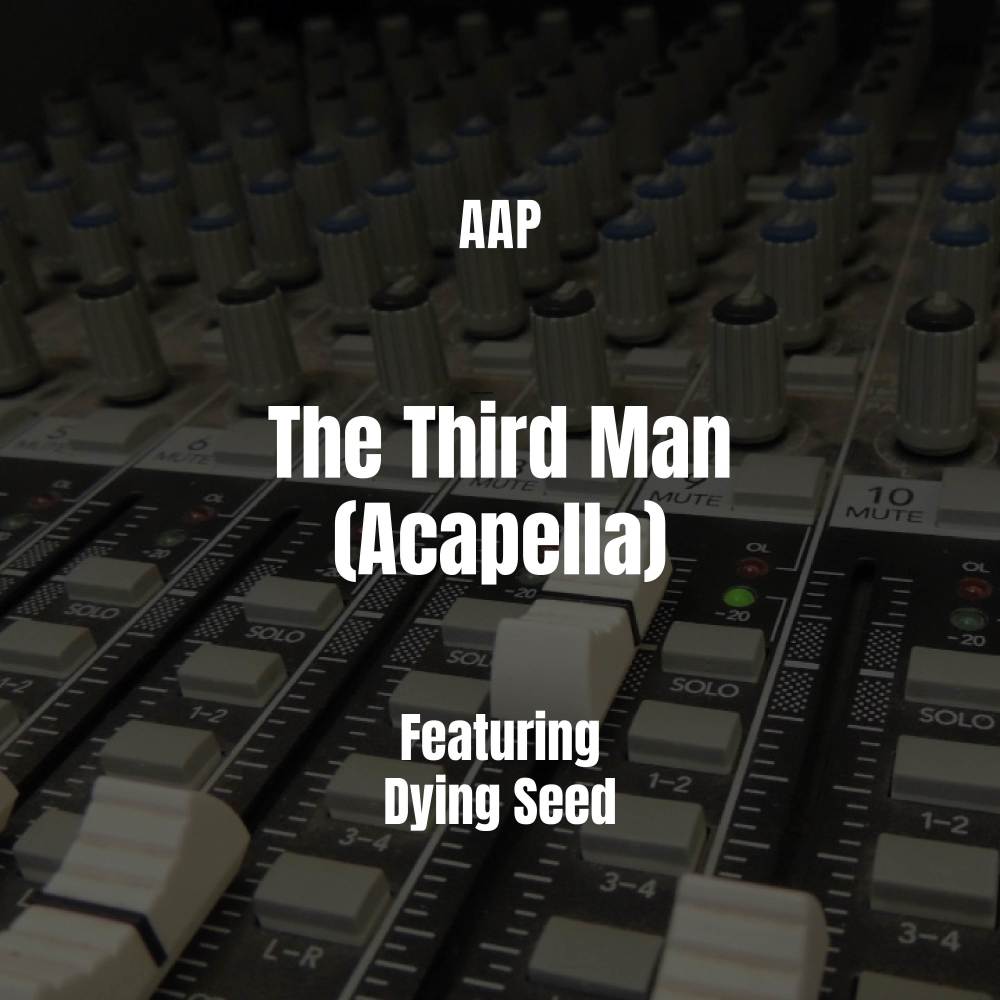 The Third Man (Acapella|Explicit)