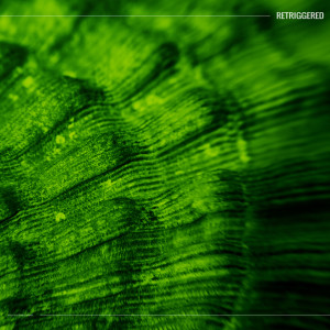 ดาวน์โหลดและฟังเพลง Catchy Rhythm พร้อมเนื้อเพลงจาก Tec 77