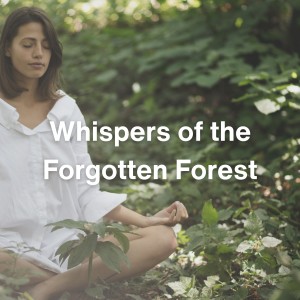 Album Whispers of the Forgotten Forest oleh Meditation Music