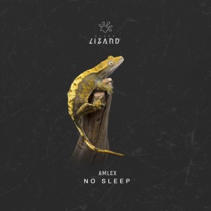 Album No Sleep from Amlex