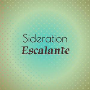 Various的专辑Sideration Escalante