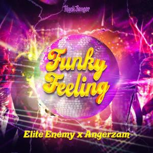Elite Enemy的專輯Funky Feeling