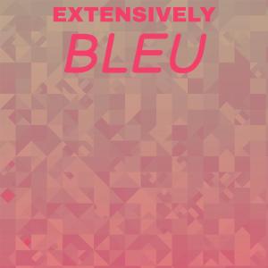 收聽Ronique Parang的Extensively Bleu歌詞歌曲