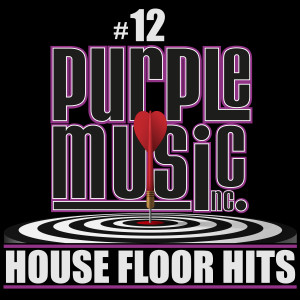 House Floor Hits Volume 12 dari Various