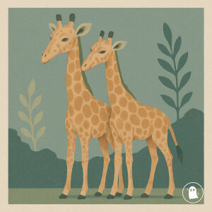 very noise person的專輯girafas sujas