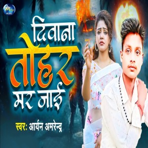 Listen to Diwana Tohar Mar Jai song with lyrics from Aryan Amrendra