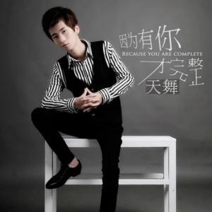 收听天舞的因为有你才完整 (伴奏)歌词歌曲