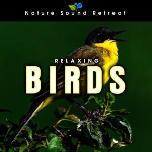 ดาวน์โหลดและฟังเพลง Relaxing Birds พร้อมเนื้อเพลงจาก Nature Sound Retreat