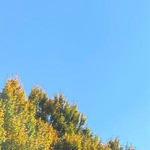 收聽Ryan Clay的Higher Love歌詞歌曲
