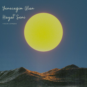 Album Yeneceğim Ulan Hayat Seni from Yasin Şimşek
