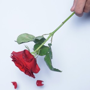 ดาวน์โหลดและฟังเพลง Pacar Baru (Explicit) พร้อมเนื้อเพลงจาก GRAPHY PROJECT